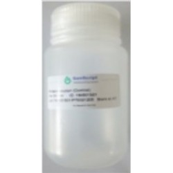 Protein A MagBeads (4ml)