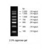 PCR DNA Ladder, Ilość: 500 podań, 7 prążków, stężenie: 400ng/5ul, Ready-To-Use™