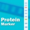 3-color High Range Protein Marker (10-245 kDa)  Ilość: 500ul