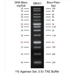 1 kbp RTU DNA Ladder (250...