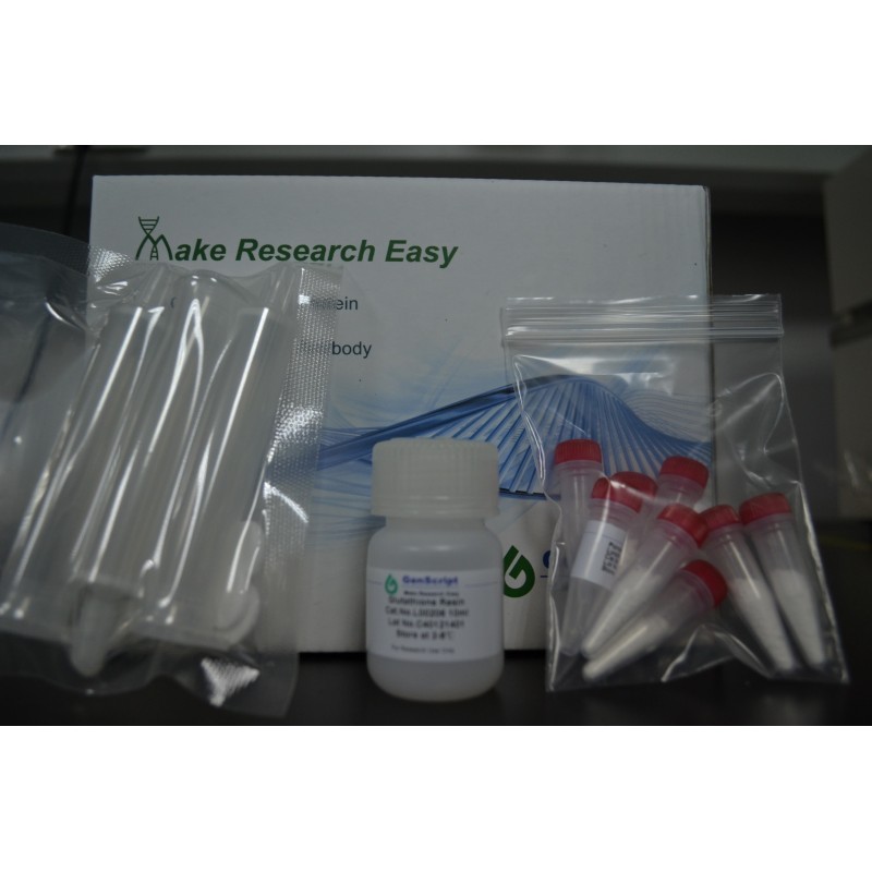 Protein Expression and Purification Kit