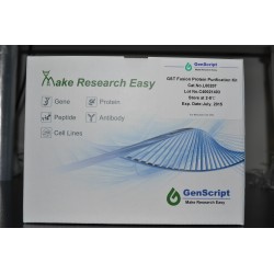 GST Fusion Protein Purification Kit