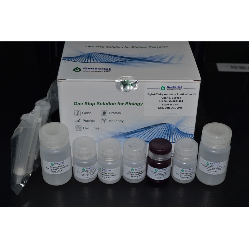 High-Affinity Antibody Purification Kit