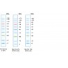 BLUEstain™ 3 Protein Ladder, 10-180 kDa, 4x500µl