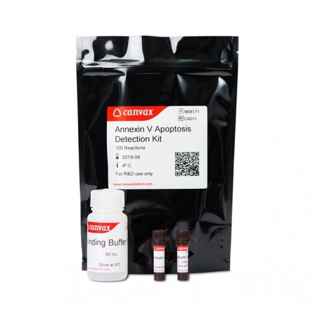 Annexin V Apoptosis Detection Kit