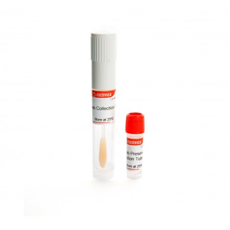 Buccal Swab Collection & Stabilization Kit, Canvax