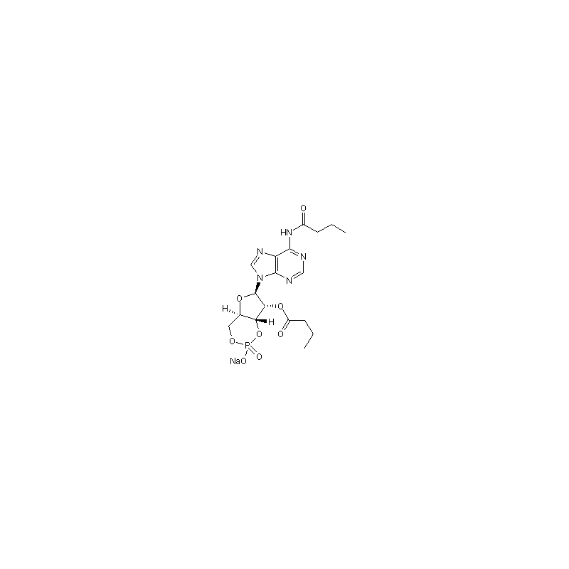 Dibutyryl-cAMP, sodium salt