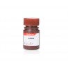 Chloramphenicol